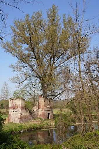 Cycleway of the Olona valley near Gorla Maggiore, Milan province, Lombardy, Italy, at springtime. Ruins.