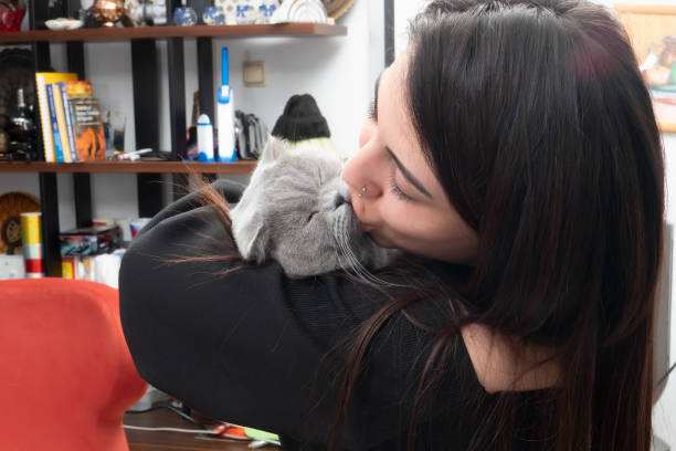 istock Young Brunette Woman with Scottish Fold Kitten 1401327038