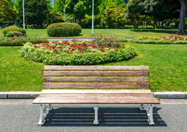 istock Bench by the sea surrounded by green grass (Yamashita Park in Yokohama) 1401327499