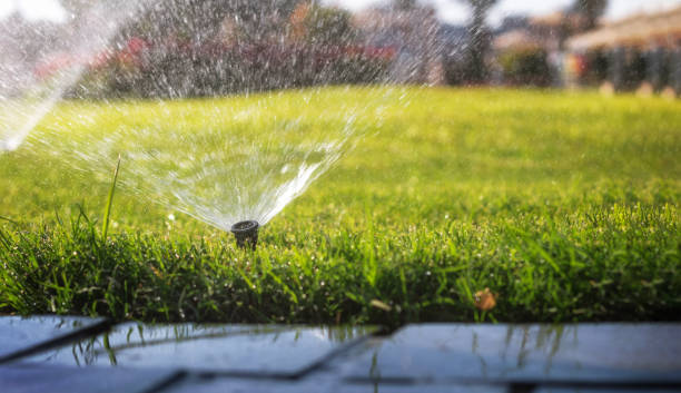 istock Automatic sprinkler system watering the lawn. Close-up 1401331336
