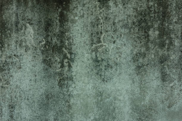 istock Old concrete white-black-gray wall textures for background with cracks textures,Abstract backgrounds. 1401332148