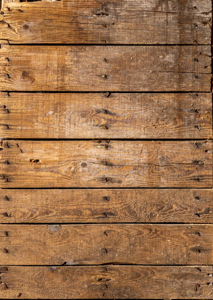 istock Worn out door close-up, textured and weathered 1401333407