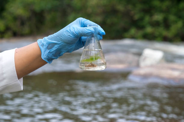 close-up de mãos ambientalistas femininas em luva coleta amostras de água de um rio para explorar e testar infecções. conceito de água e ecologia - water pollution - fotografias e filmes do acervo