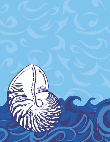 Nautical Ocean Background Template With A  Nautilus Shell