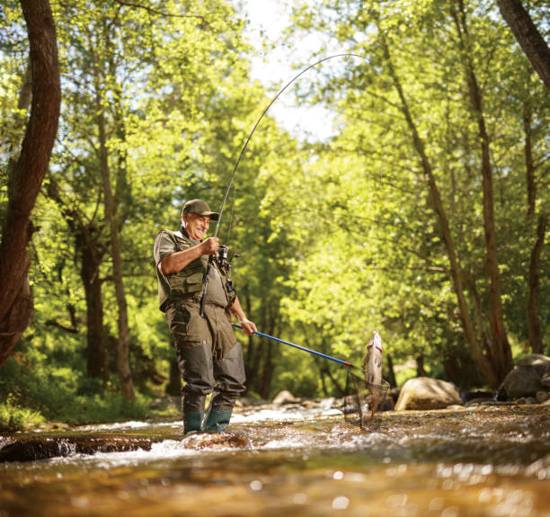 istock Fisherman catching a carp fish with a rod and a net 1401342233