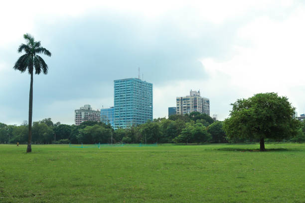 istock view from MJaidan in Kolkata 1401343541