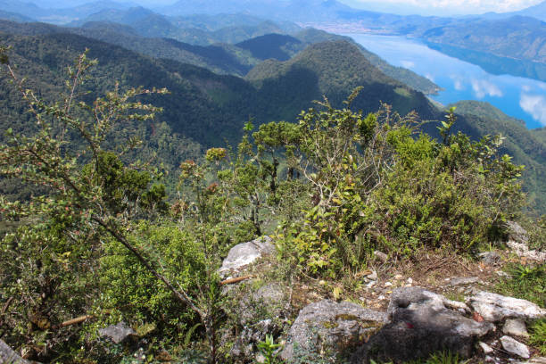 istock enjoy nature from mountain tops, beautiful forests and lakes 1401345961