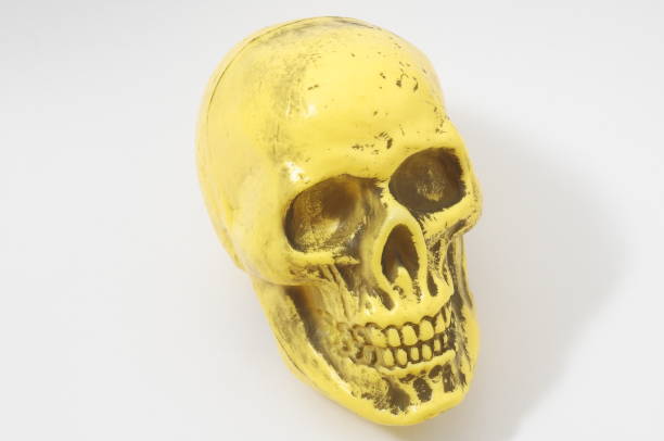 istock skull on black background, digital photo picture as a background 1401349183