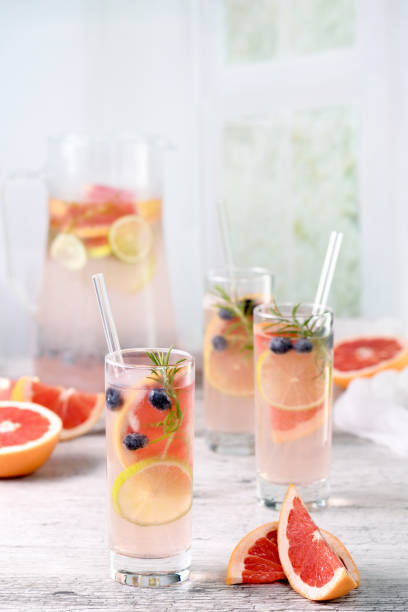 istock Paloma with blueberries and citrus 1401349293