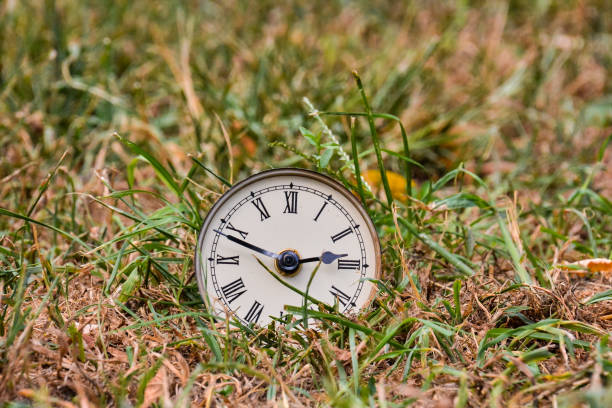 clock on green grass, beautiful photo digital picture