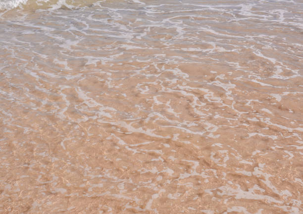 istock background, digital photo picture as a background 1401351984