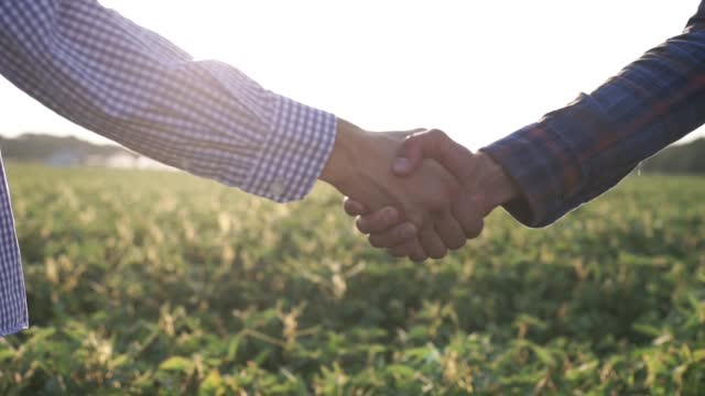 Handshake of farmers in a green field. Farmers in the soybean field sign a contract