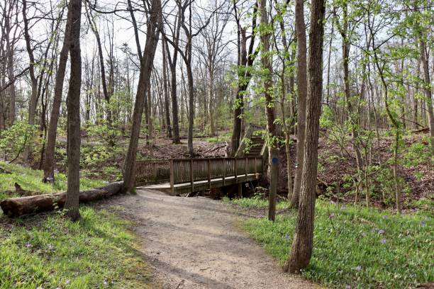 istock Old Wood Footbridge 1401353698