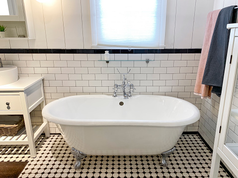 Free standing bathtub in a stylish bathroom