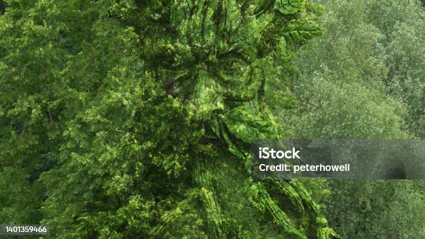 The Green Man Stock Photo - Download Image Now - Blowing, Leaf, Wind