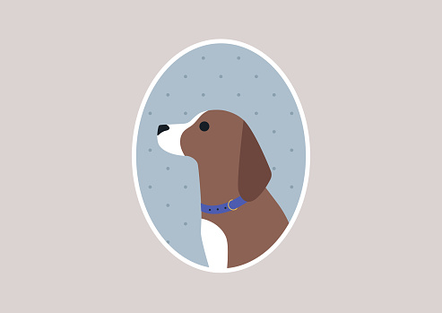 istock A cute brown puppy in a vintage oval picture frame 1401361381