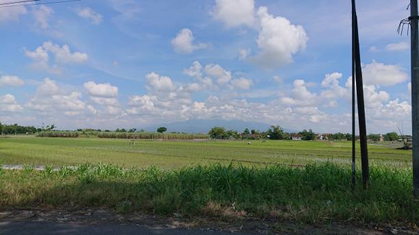 istock Beautifull Sky Above The Rice Field 1401363039
