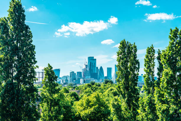 london city skyline, view from stave hill - london england business financial district downtown district imagens e fotografias de stock