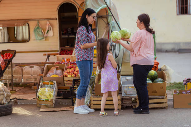 istock Packing vegetables in the bag 1401364735