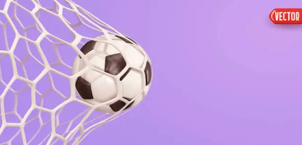 Vector illustration of Soccer ball in the goal net. vector illustration