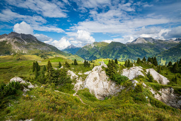 aerial view of the alps - lechtal alps imagens e fotografias de stock