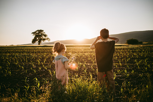 Two kids, brother and his little sister standing together on a field outdoors in sunset.