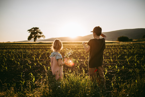 Two kids, brother and his little sister standing together on a field outdoors in sunset.