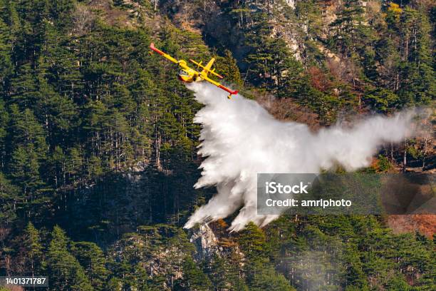 Firefighting Aircraft Dropping Water Over Forest Fire Stock Photo - Download Image Now
