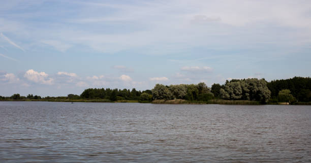 istock Lake shore, water surface of calm wate 1401374538