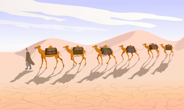 illustrazioni stock, clip art, cartoni animati e icone di tendenza di la carovana di cammelli con un beduino attraversa il deserto. cammelli nel deserto. - morocco desert camel africa