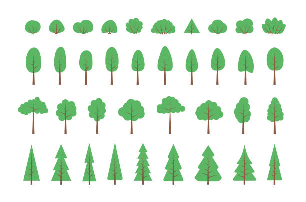 TREES. Vector set of flat trees, forest and bush. TREES. Vector set of flat trees, forest and bush. Collection elements, various green trees, bushes. Nature design flat icon of forest. Simple spring, summer illustration. Minimal cute nature icons. simple tree silhouette stock illustrations