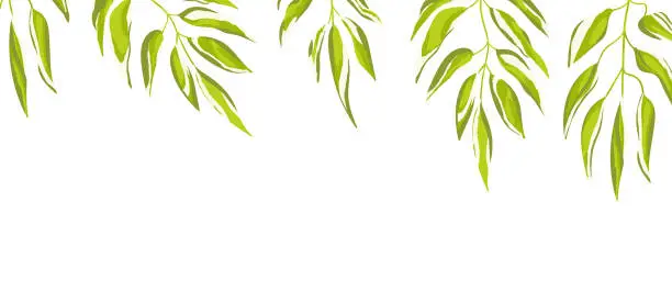 Vector illustration of Floral web banner with drawn color exotic leaves. Nature concept design. Modern floral compositions with summer branches. Vector illustration on the theme of ecology, natura, environment