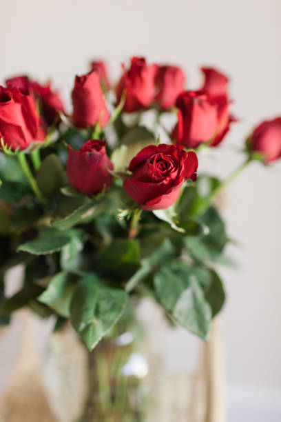 istock Two Dozen Classic Rich Red Roses in Bright Natural Light 1401381313