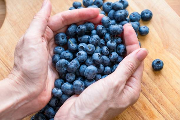 Food healthy blueberry berry organic. vegetarian harvest. A woman sprinkles blueberries with her hands. Food healthy blueberry berry organic bilberry natural. vegetarian harvest huckleberry stock pictures, royalty-free photos & images