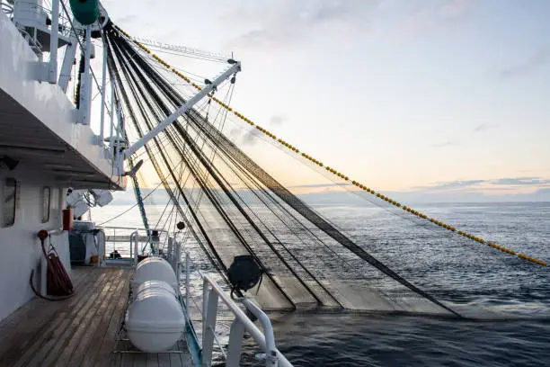 Photo of Fishing boat fishing for tuna fish during sunrise. Fishing operation