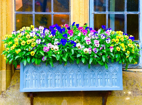 Exterior of cottage wall with window with gingham curtains and flower box.