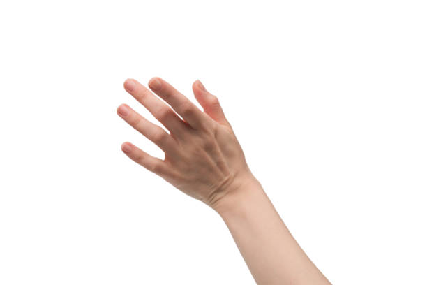istock Woman hand isolated on a white background. 1401384343