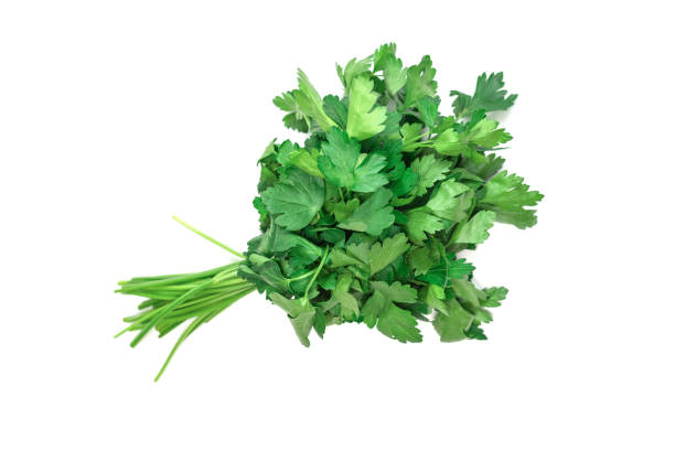 istock A bunch of parsley isolated on white background. 1401384373