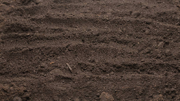 istock Black land for plant background. Top view. 1401384394