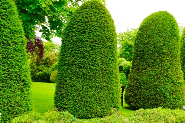 istock English Garden 1401385261