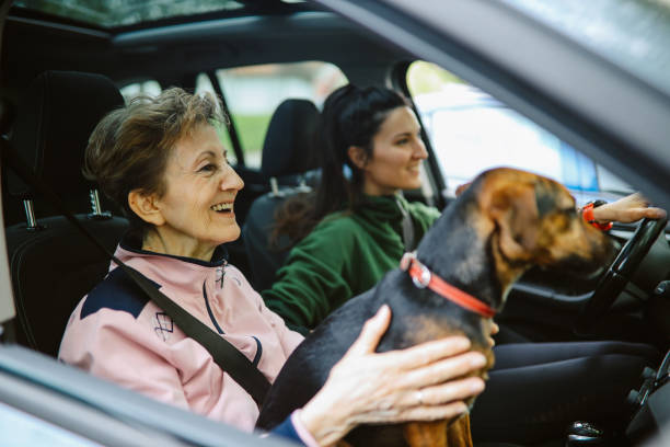 istock Families traveling with pets 1401387925