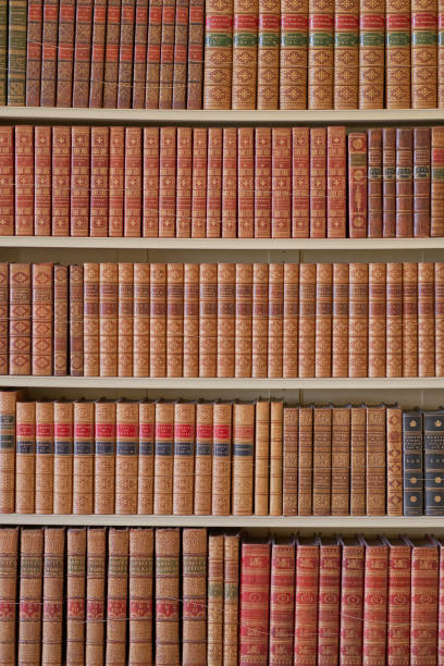 istock Bookshelves filled with old leather bound books 1401389536