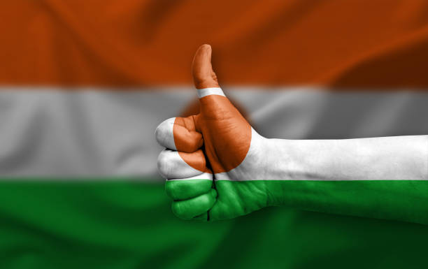 Hand making thumb up painted with flag of niger
