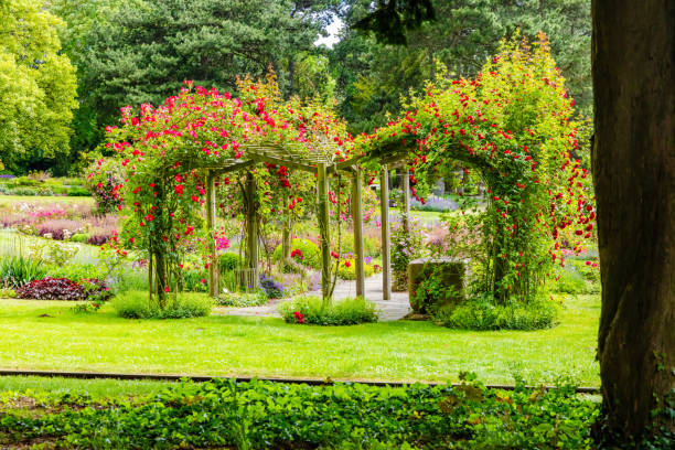 istock flowers in the park 1401391613