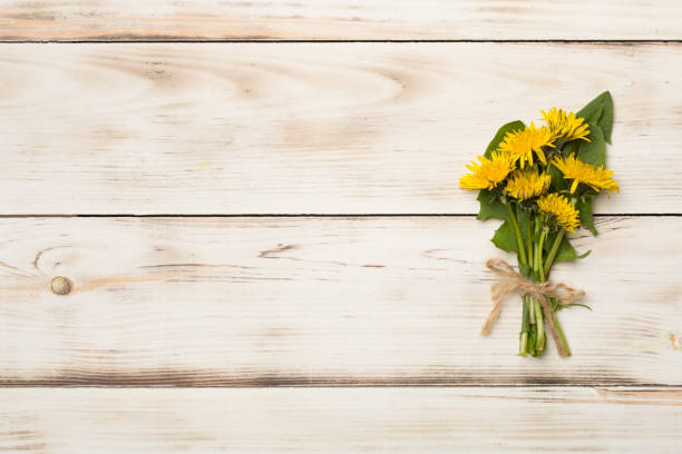 Yellow dandelion on wooden background, top view.
