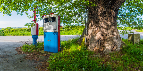 Antique fuel pump on the side of a country road under an oak tree.