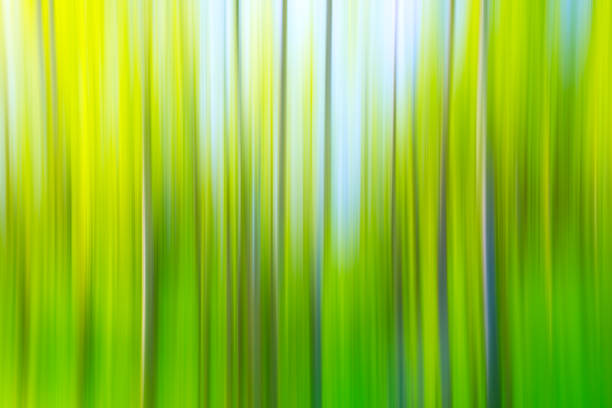 istock Abstract motion blur spring summer green forest sunny texture background 1401397121