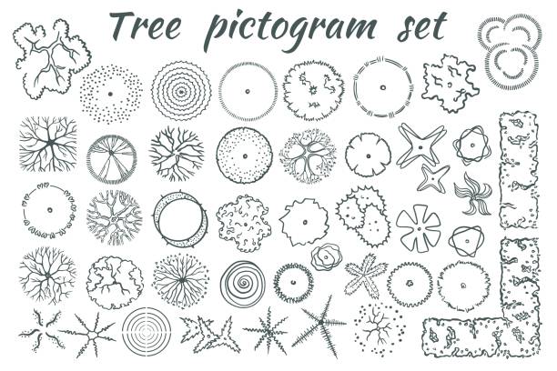 illustrazioni stock, clip art, cartoni animati e icone di tendenza di alberi architettonici set di pittogrammi vettoriale vista dall'alto - giardiniere di panorama