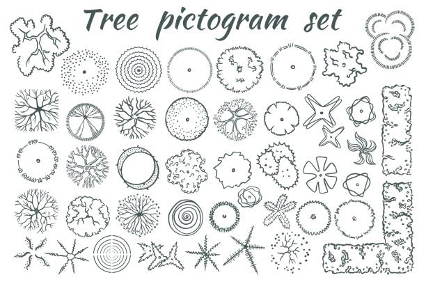 ilustrações, clipart, desenhos animados e ícones de árvores arquitetônicas pictograma definir vetor vista superior - arch top