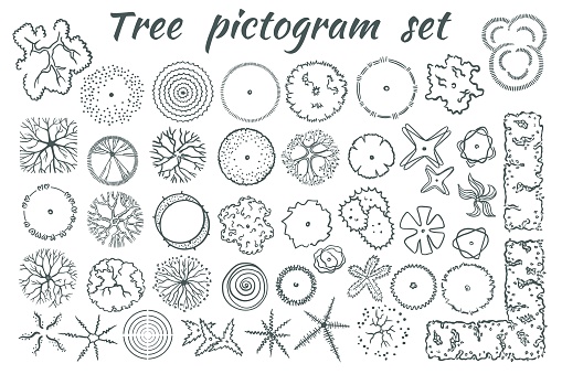 Set of architectural trees top view. Pictograms for general plans and dendroplans in landscape design in a sketch style. Isolated on white background. Vector.